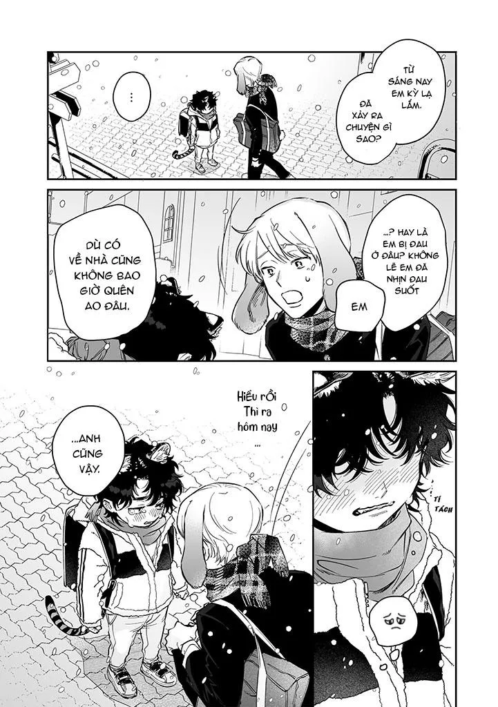 CHÚ THỎ MẬT NGỌT CỦA CHÀNG HỔ LẠNH LÙNG Chapter 2 Trang 13