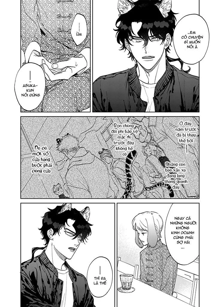 CHÚ THỎ MẬT NGỌT CỦA CHÀNG HỔ LẠNH LÙNG Chapter 5 Trang 4