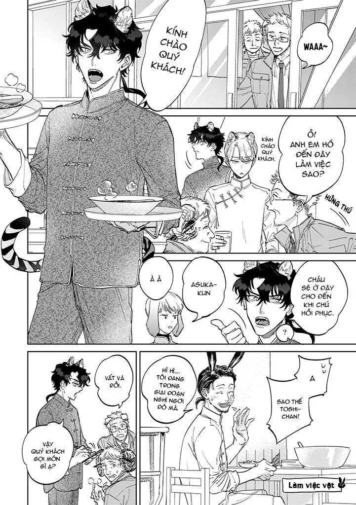 CHÚ THỎ MẬT NGỌT CỦA CHÀNG HỔ LẠNH LÙNG Chapter 5 Trang 13