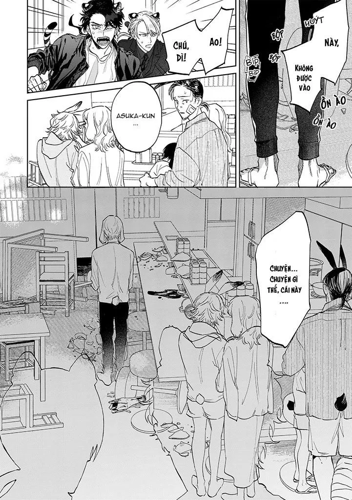 CHÚ THỎ MẬT NGỌT CỦA CHÀNG HỔ LẠNH LÙNG Chapter 6 Trang 19