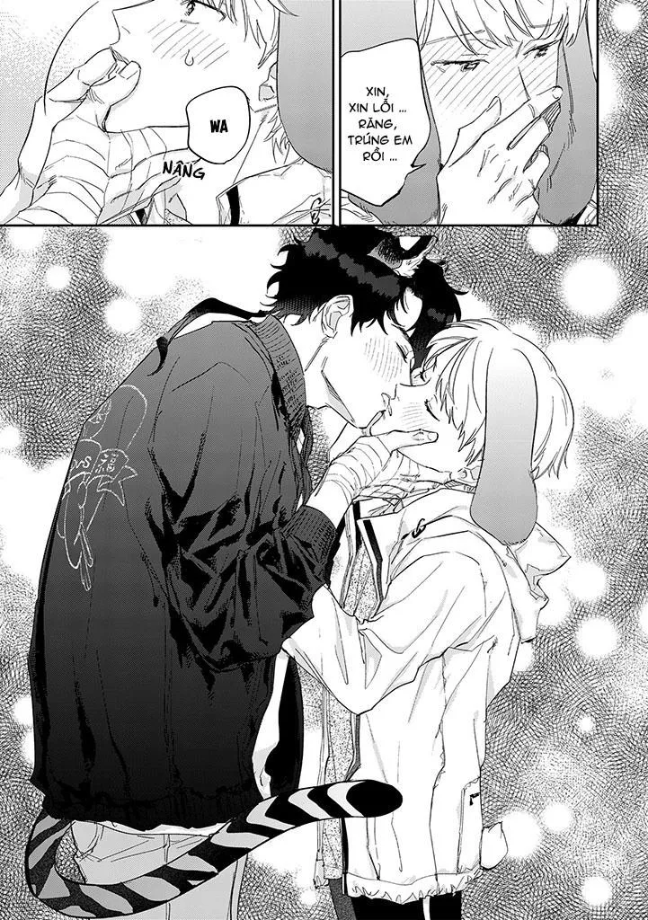 CHÚ THỎ MẬT NGỌT CỦA CHÀNG HỔ LẠNH LÙNG Chapter 8 Trang 17