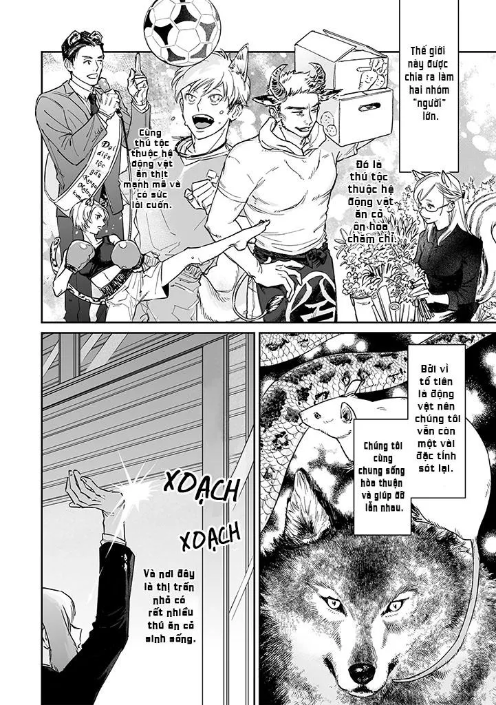 CHÚ THỎ MẬT NGỌT CỦA CHÀNG HỔ LẠNH LÙNG Chapter 1 Trang 3
