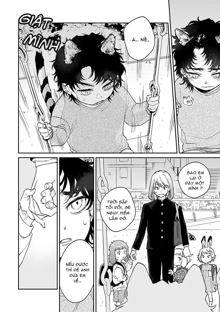 CHÚ THỎ MẬT NGỌT CỦA CHÀNG HỔ LẠNH LÙNG Chapter 1 Trang 11