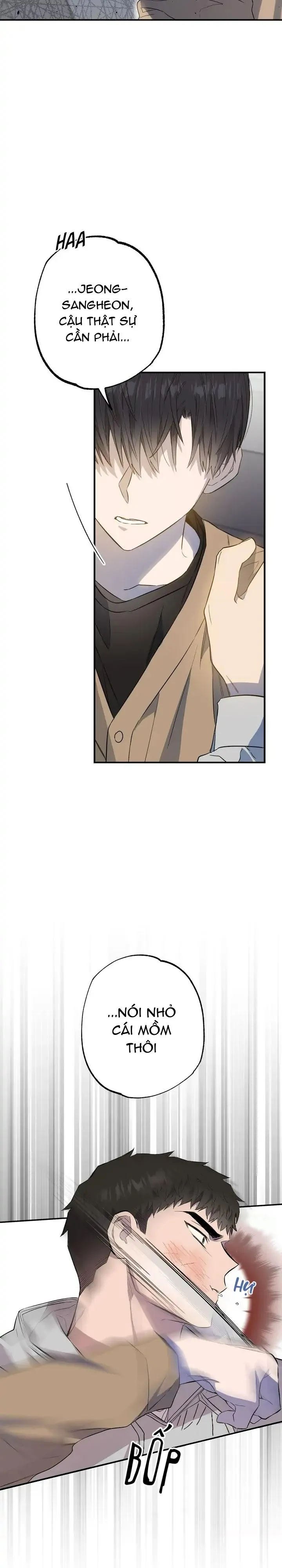 Chung Một Bầu Không Khí (END) Chapter 30 Trang 24
