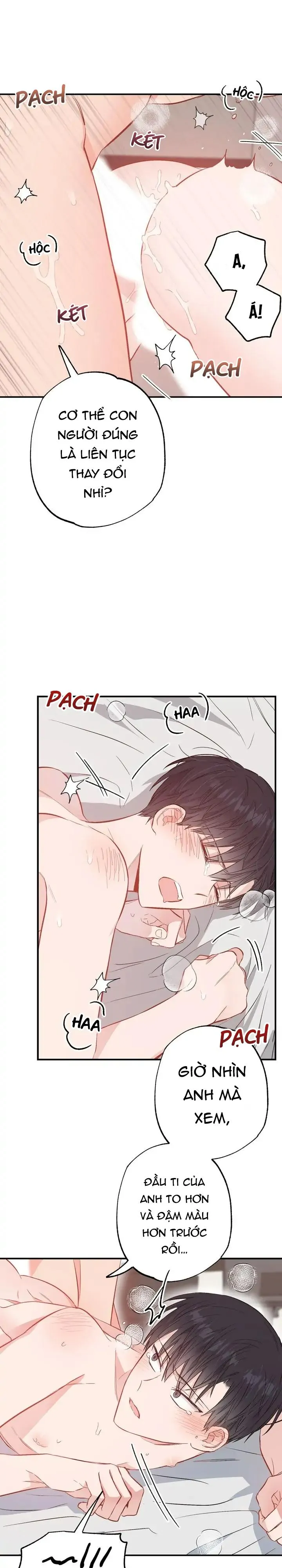 Chung Một Bầu Không Khí (END) Chapter 32 Trang 30