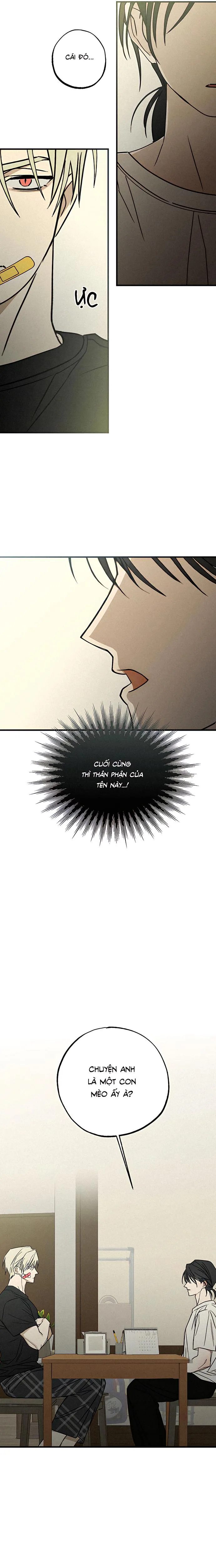 Chứng Nhận Quan Hệ Gia Đình Chapter 3 Trang 24