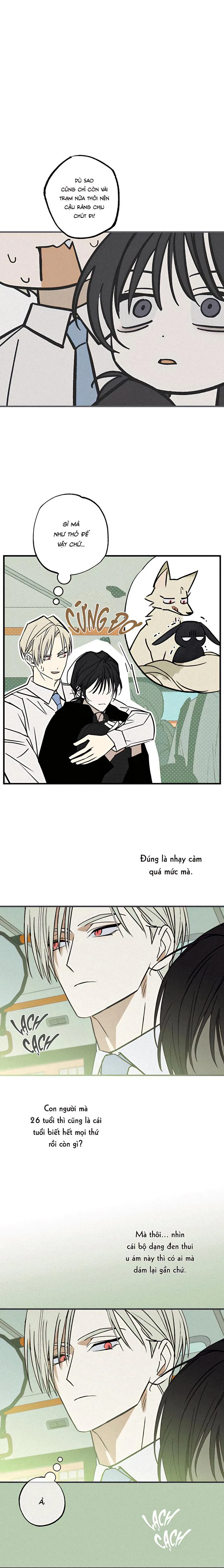 Chứng Nhận Quan Hệ Gia Đình Chapter 5 Trang 14