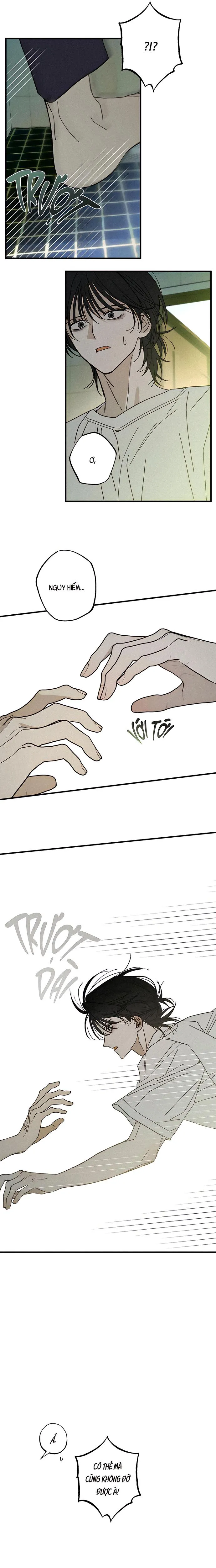 Chứng Nhận Quan Hệ Gia Đình Chapter 7 Trang 7