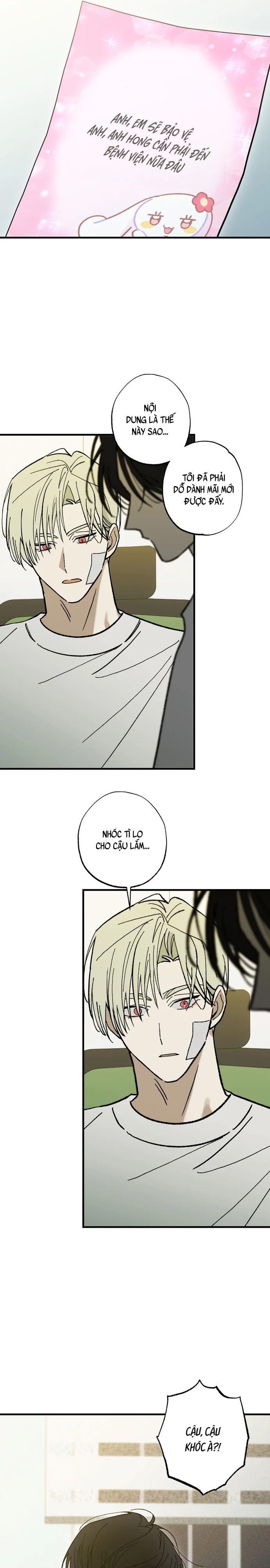 Chứng Nhận Quan Hệ Gia Đình Chapter 12 Trang 8