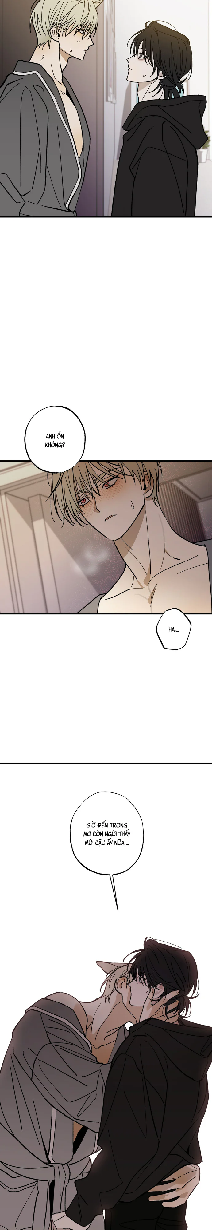 Chứng Nhận Quan Hệ Gia Đình Chapter 14 Trang 19