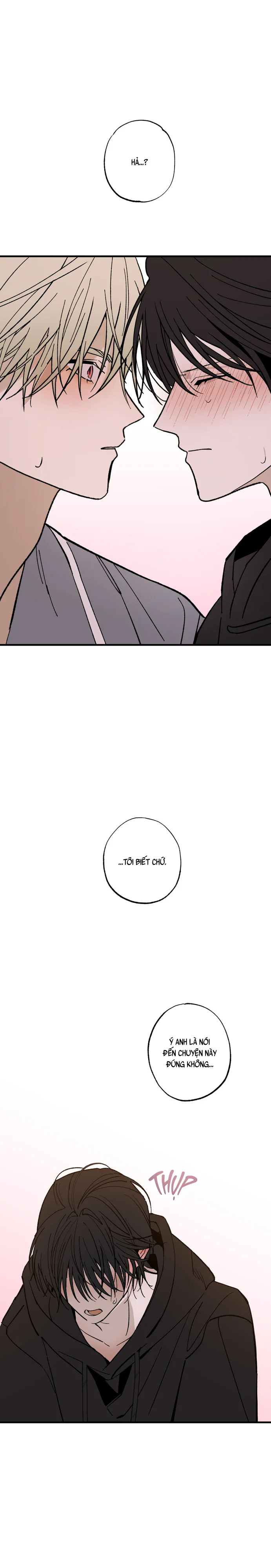 Chứng Nhận Quan Hệ Gia Đình Chapter 14 Trang 25