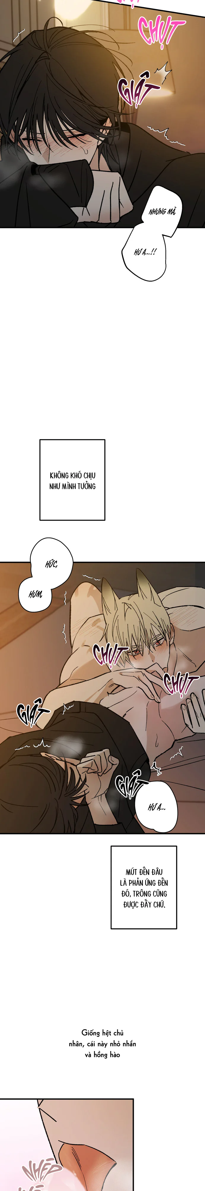 Chứng Nhận Quan Hệ Gia Đình Chapter 15 Trang 16