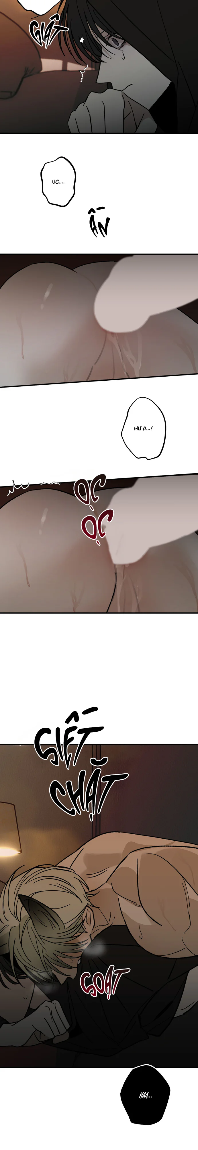 Chứng Nhận Quan Hệ Gia Đình Chapter 15 Trang 25