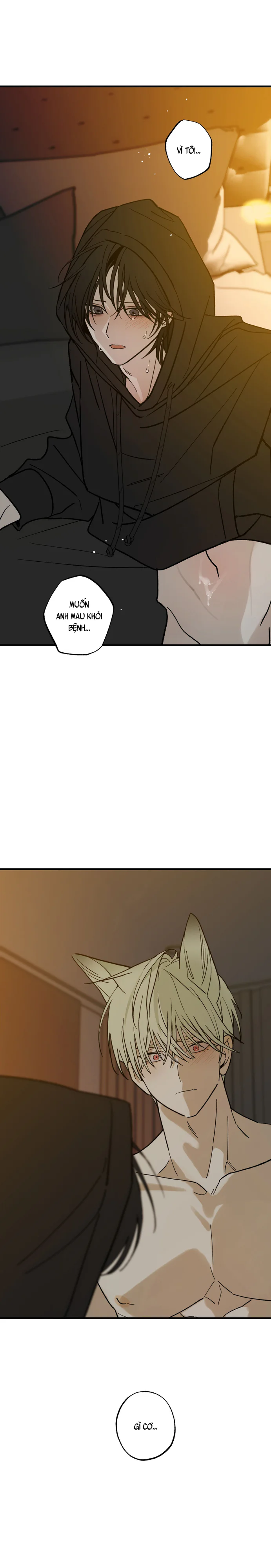 Chứng Nhận Quan Hệ Gia Đình Chapter 16 Trang 3