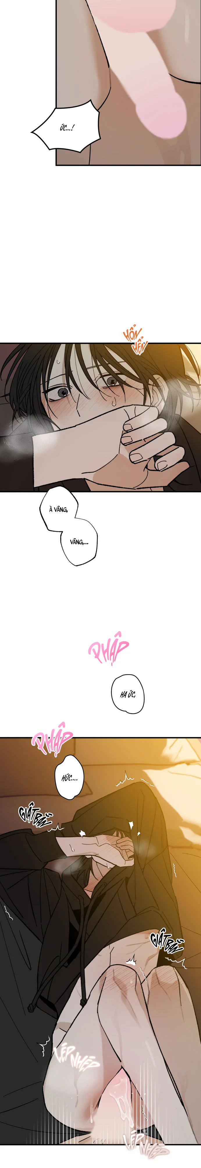 Chứng Nhận Quan Hệ Gia Đình Chapter 16 Trang 12