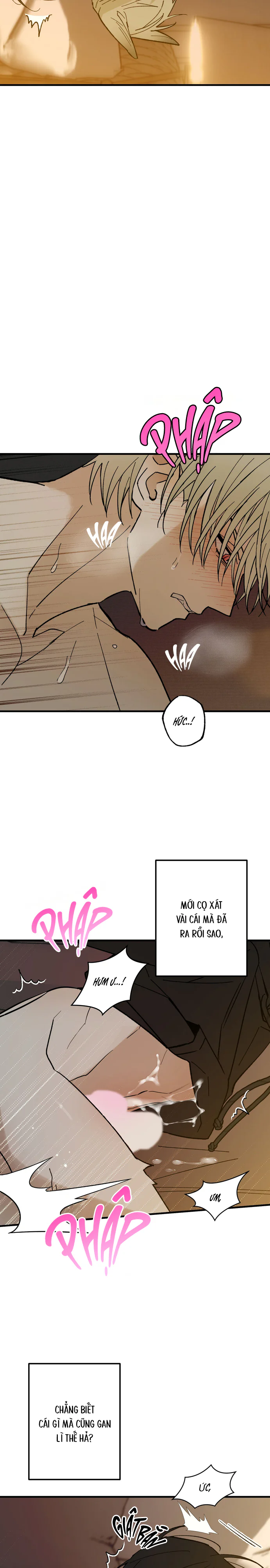 Chứng Nhận Quan Hệ Gia Đình Chapter 16 Trang 19