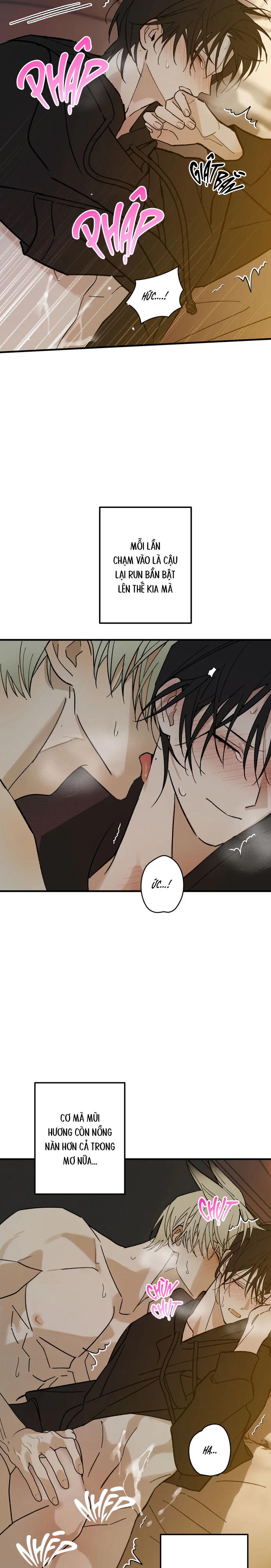 Chứng Nhận Quan Hệ Gia Đình Chapter 16 Trang 20