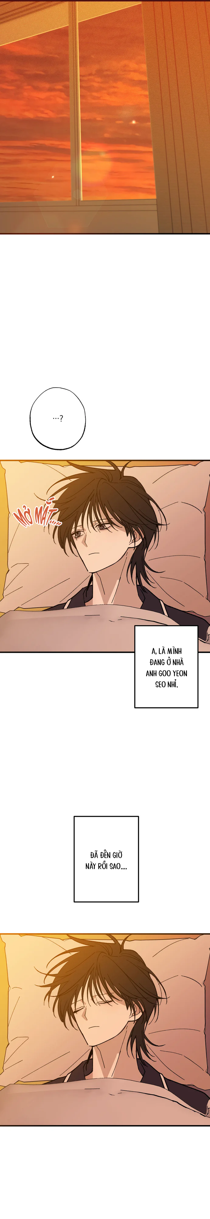 Chứng Nhận Quan Hệ Gia Đình Chapter 17 Trang 8