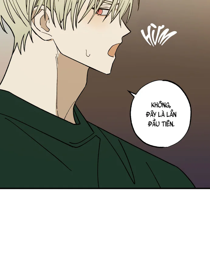 Chứng Nhận Quan Hệ Gia Đình Chapter 17 Trang 14