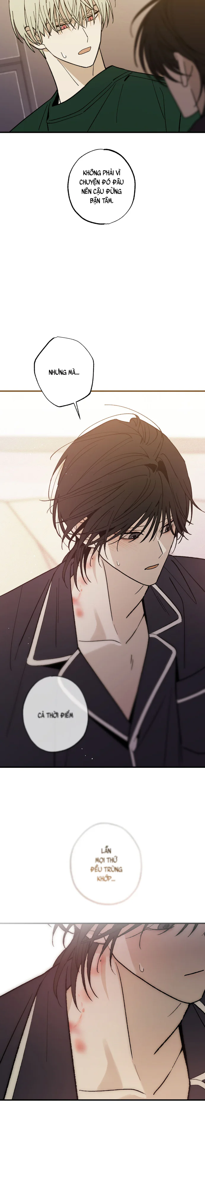 Chứng Nhận Quan Hệ Gia Đình Chapter 17 Trang 16