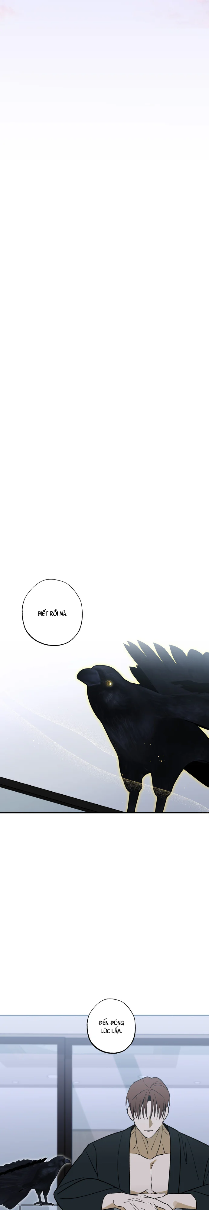 Chứng Nhận Quan Hệ Gia Đình Chapter 18 Trang 23