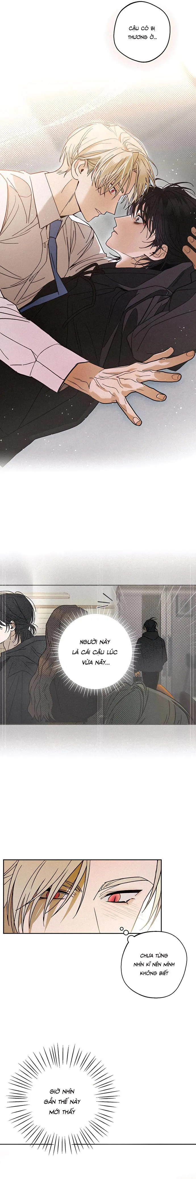 Chứng Nhận Quan Hệ Gia Đình Chapter 1 Trang 14