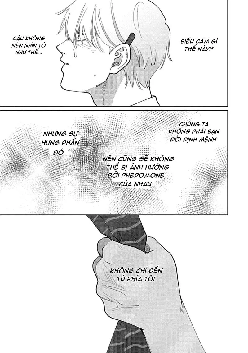CHÚNG TA KHÔNG PHẢI ĐỊNH MỆNH CỦA NHAU Chapter 1 Trang 31