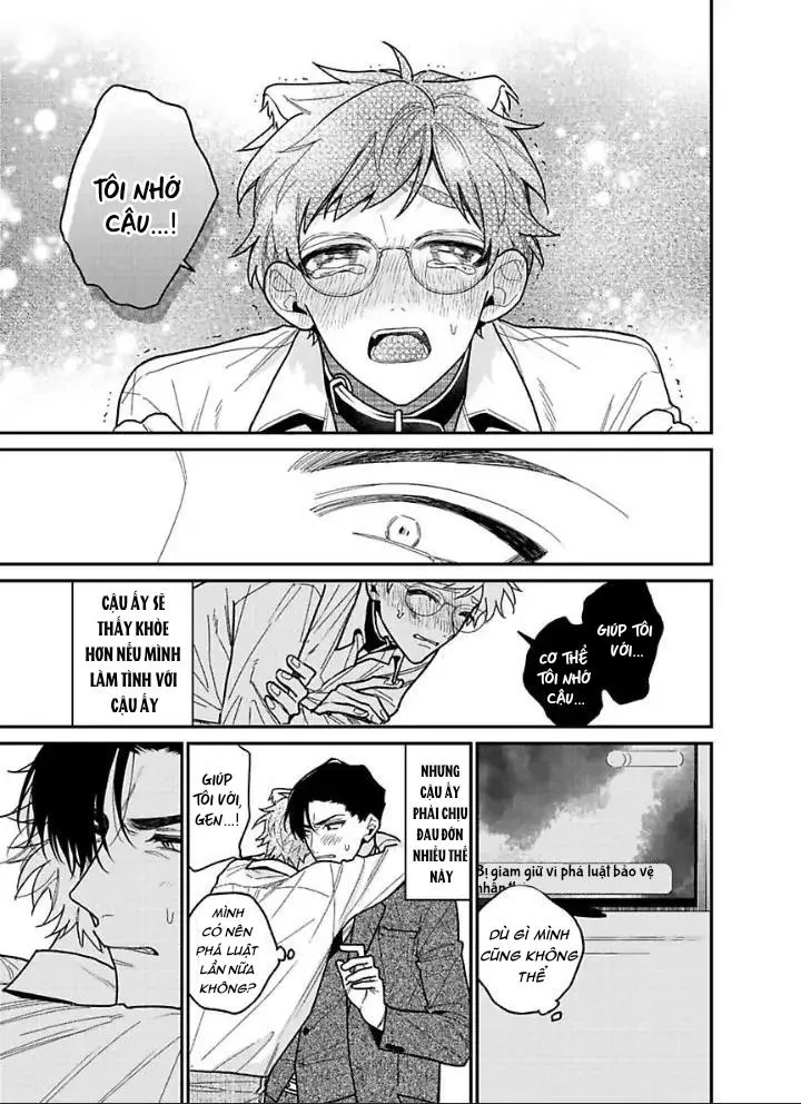 Chúng ta ở bên nhau là bất hợp pháp! Chapter 4 Trang 16