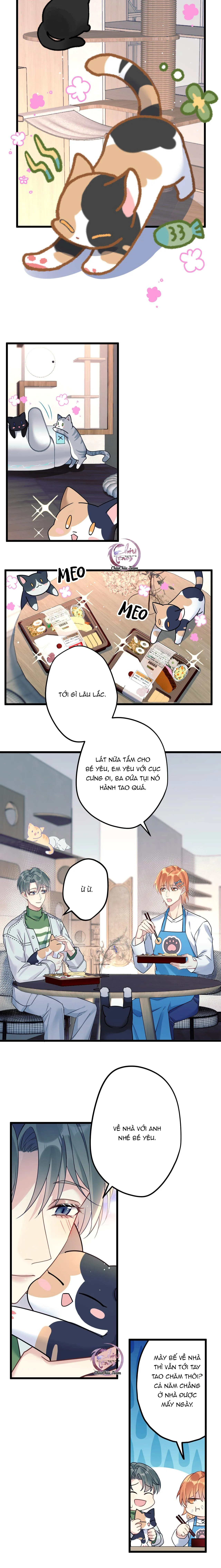 Chung Tình (END) Chapter 7 Trang 8