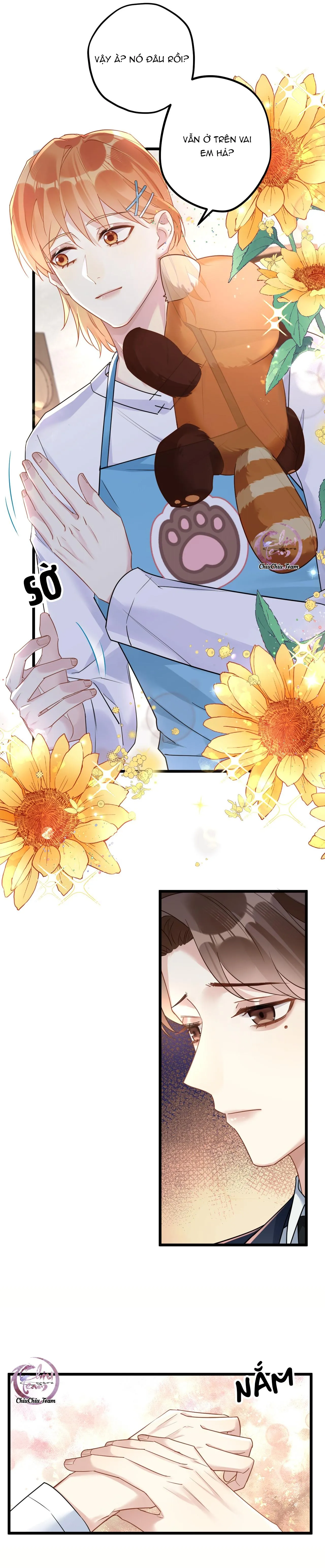 Chung Tình (END) Chapter 14 Trang 11