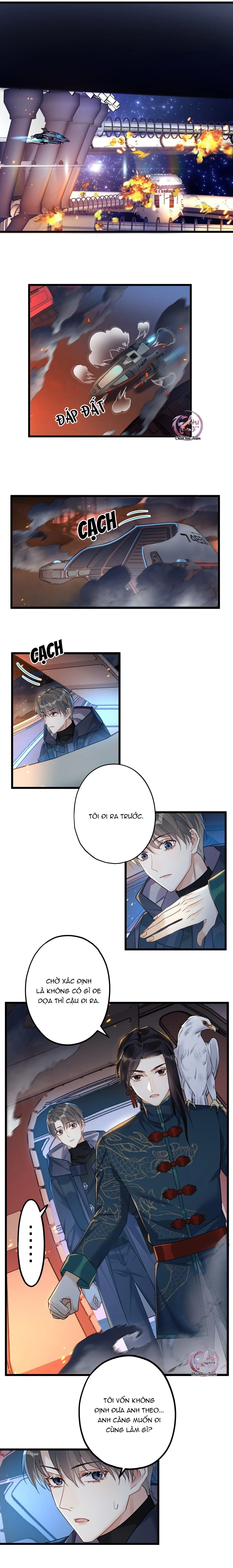 Chung Tình (END) Chapter 24 Trang 8