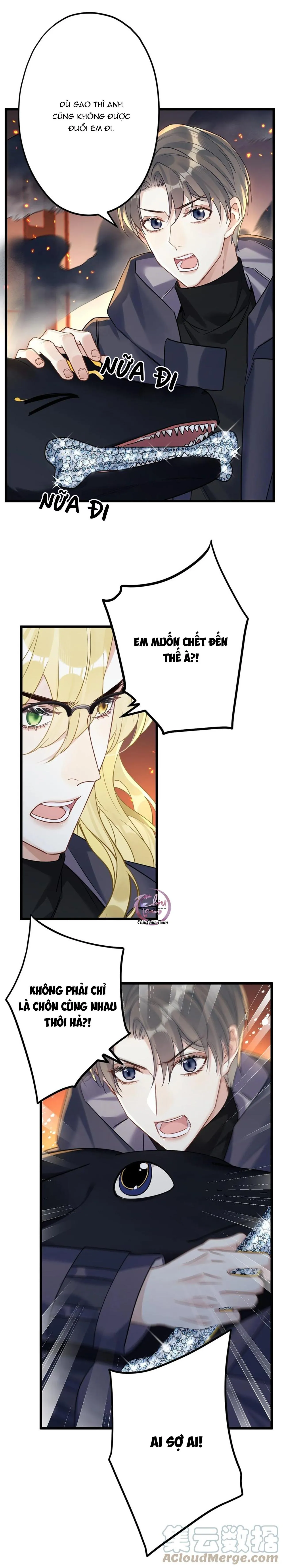 Chung Tình (END) Chapter 25 Trang 7