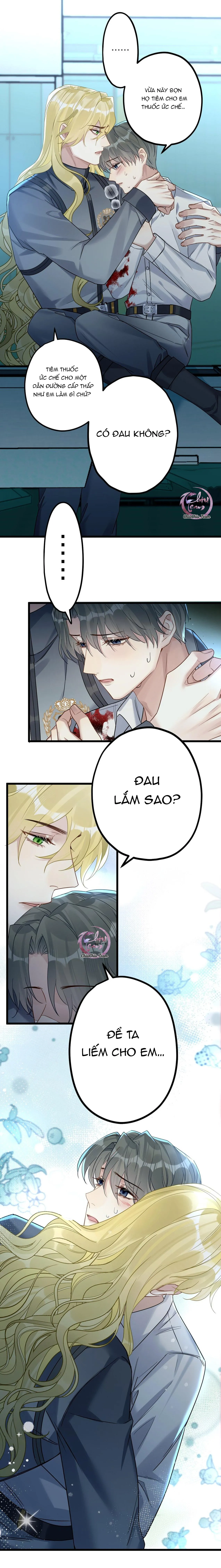 Chung Tình (END) Chapter 31 Trang 8