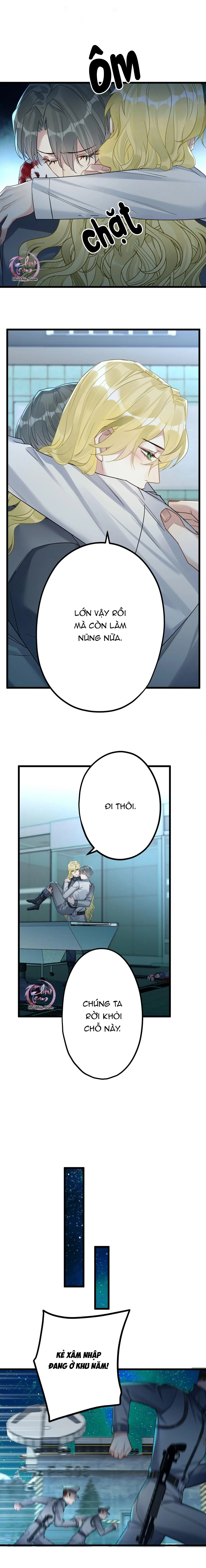 Chung Tình (END) Chapter 31 Trang 9