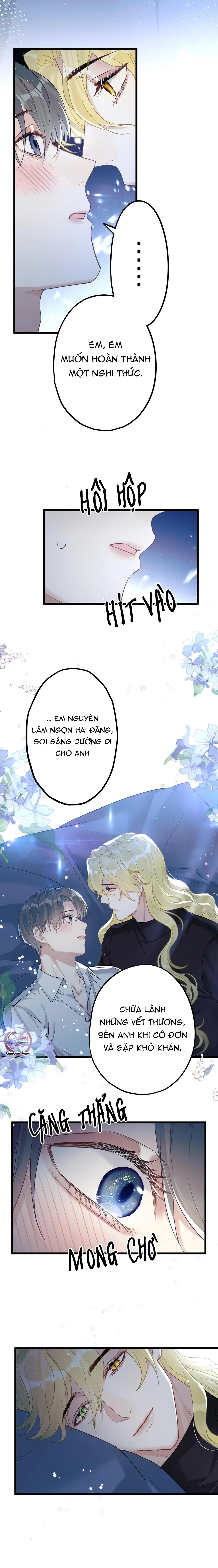 Chung Tình (END) Chapter 33 Trang 10