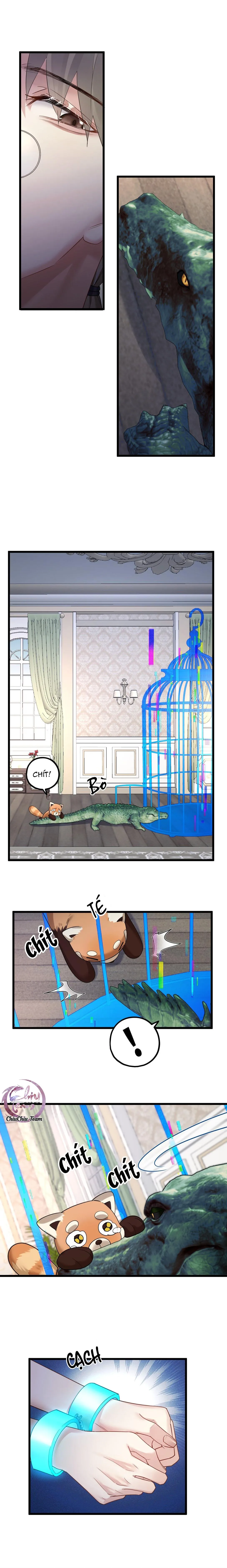 Chung Tình (END) Chapter 35 Trang 8