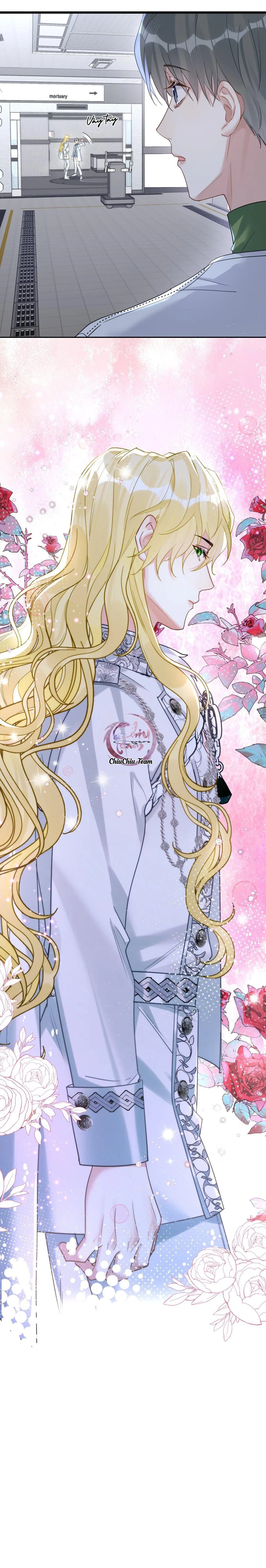 Chung Tình (END) Chapter 36 Trang 14