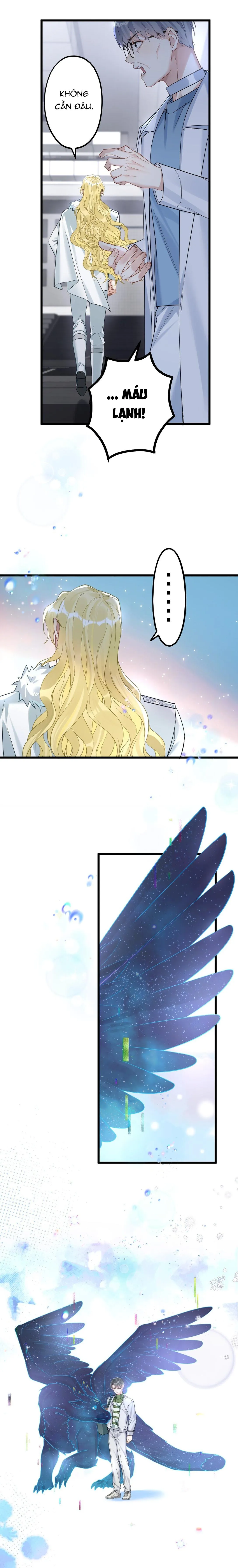 Chung Tình (END) Chapter 37 Trang 4