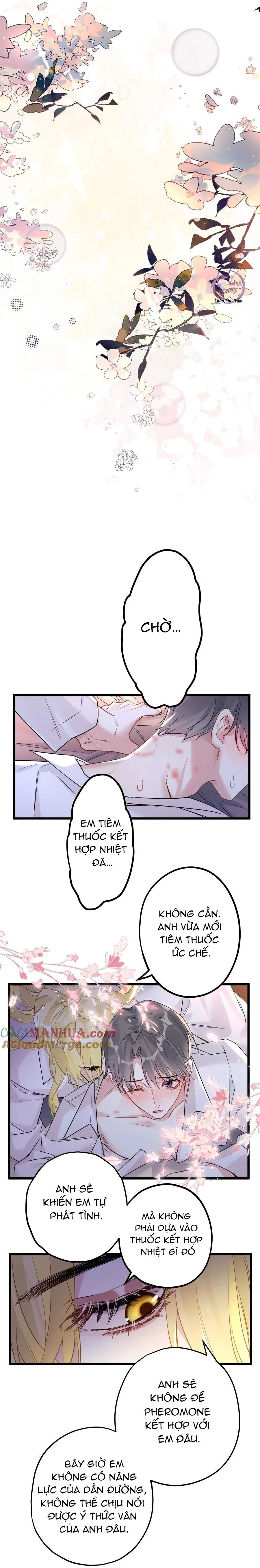 Chung Tình (END) Chapter 57 Trang 8