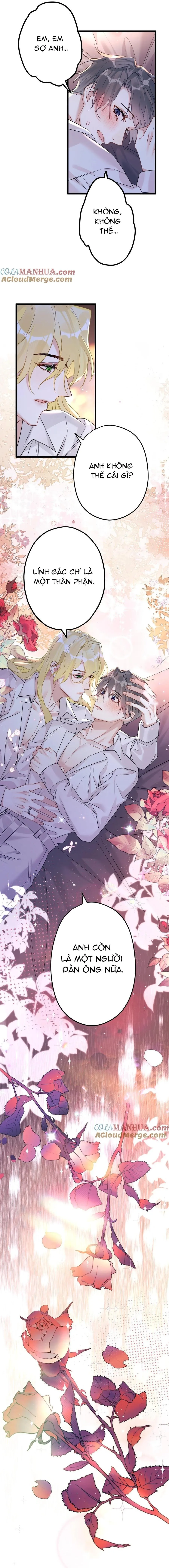 Chung Tình (END) Chapter 57 Trang 9