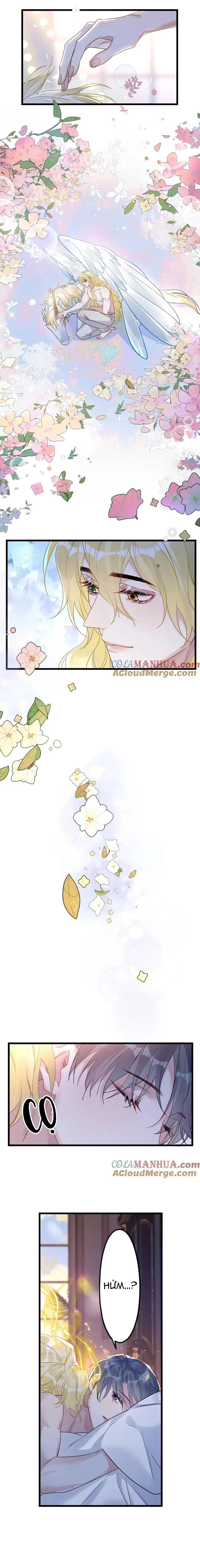 Chung Tình (END) Chapter 58 Trang 3