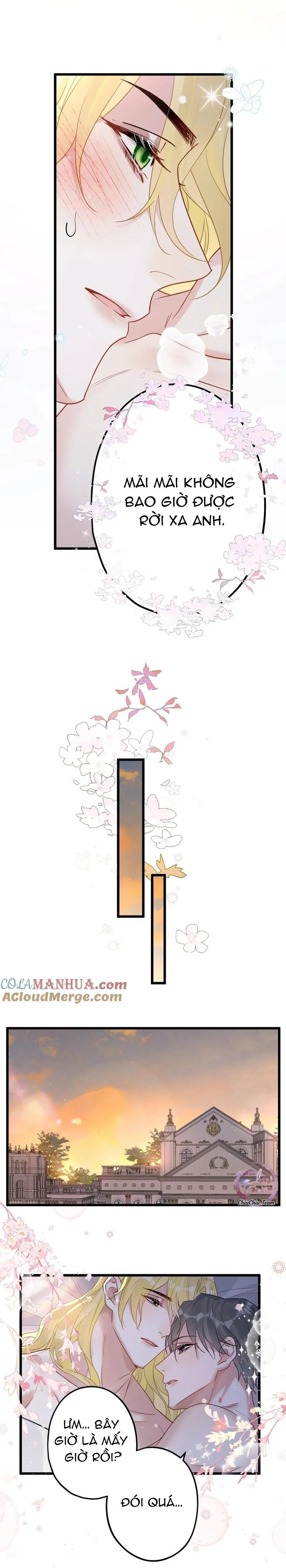 Chung Tình (END) Chapter 58 Trang 5