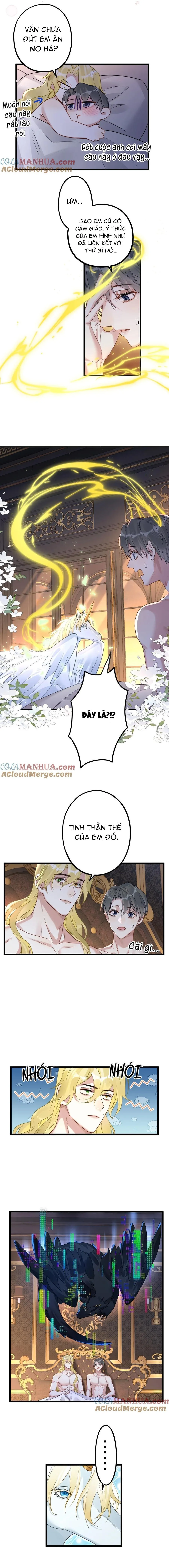 Chung Tình (END) Chapter 58 Trang 6