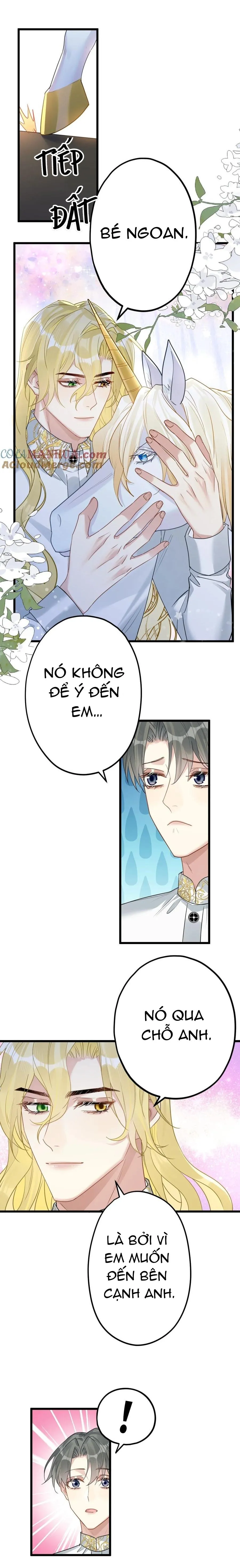 Chung Tình (END) Chapter 59 Trang 11