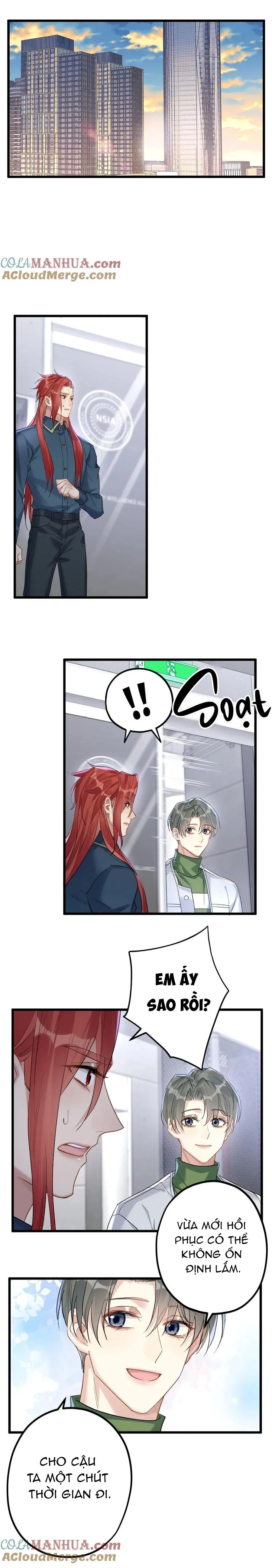 Chung Tình (END) Chapter 60 Trang 12