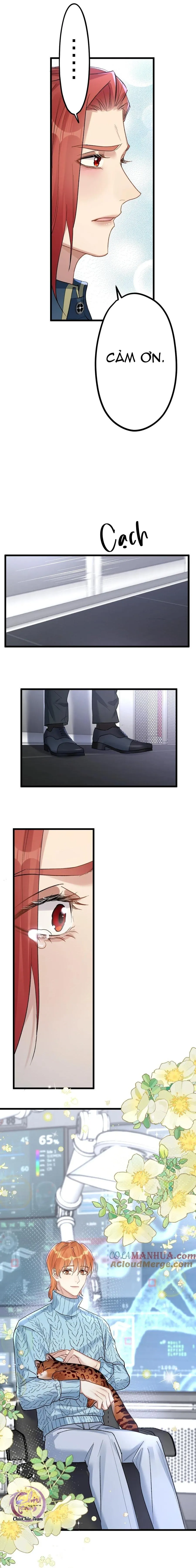 Chung Tình (END) Chapter 60 Trang 13