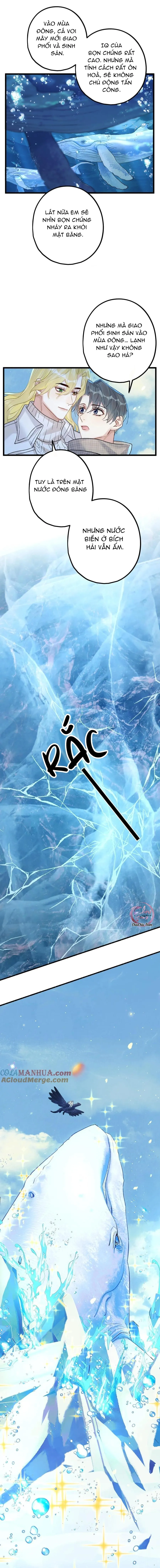 Chung Tình (END) Chapter 61 Trang 8