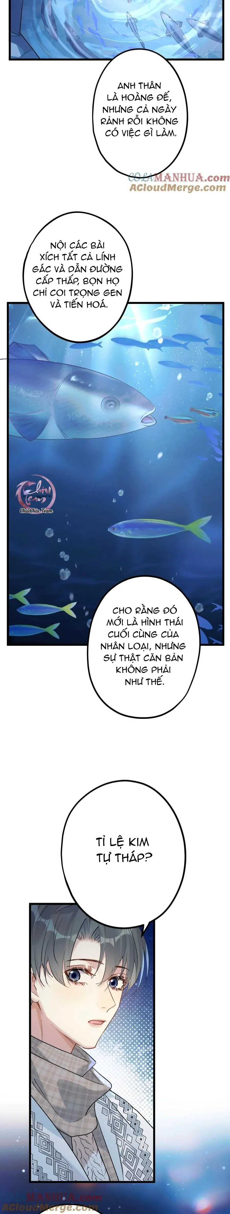 Chung Tình (END) Chapter 62 Trang 5