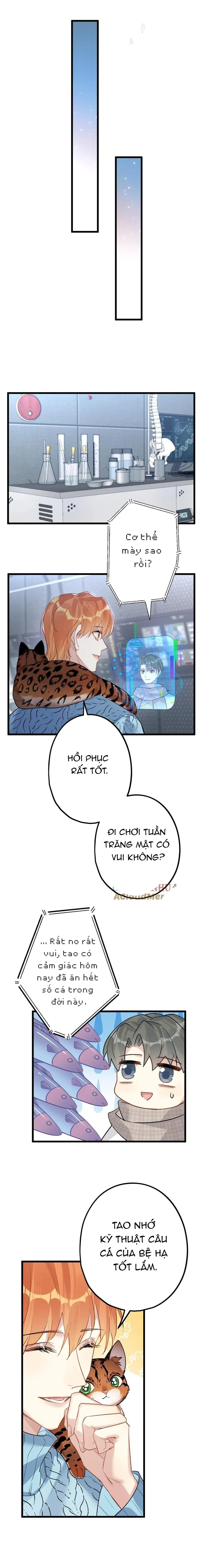 Chung Tình (END) Chapter 62 Trang 8