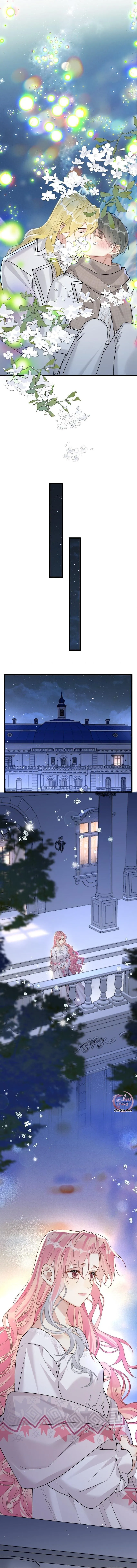 Chung Tình (END) Chapter 63 Trang 3